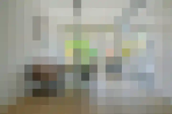 Fazantstraat 19 Breda thumbnail 20