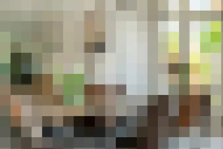 Fazantstraat 19 Breda thumbnail 23