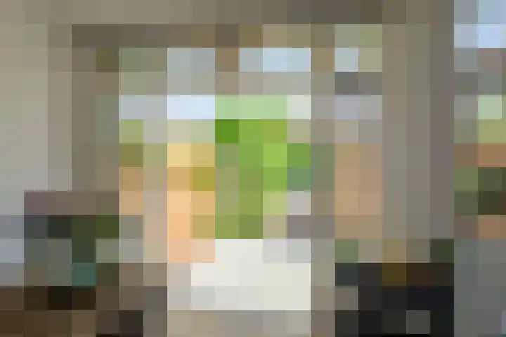 Fazantstraat 19 Breda thumbnail 26