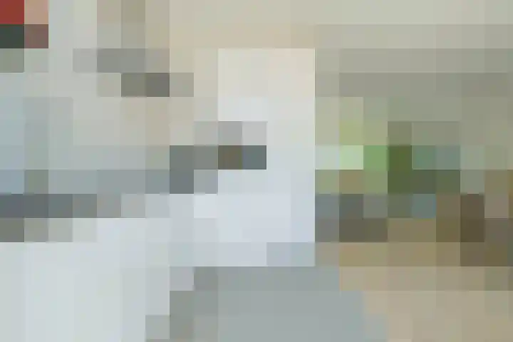 Fazantstraat 19 Breda thumbnail 30