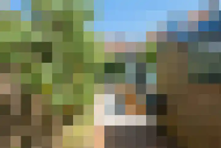 Fazantstraat 19 Breda thumbnail 34