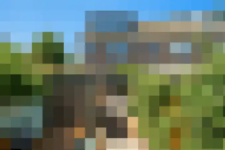 Fazantstraat 19 Breda thumbnail 38