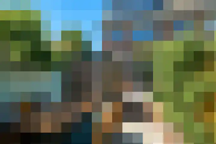 Fazantstraat 19 Breda thumbnail 39