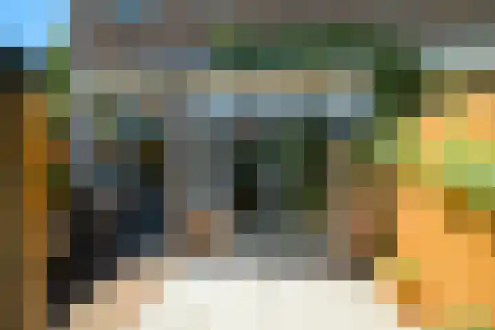 Fazantstraat 19 Breda thumbnail 40