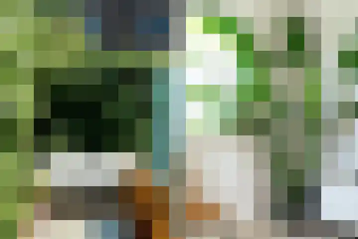 Fazantstraat 19 Breda thumbnail 41