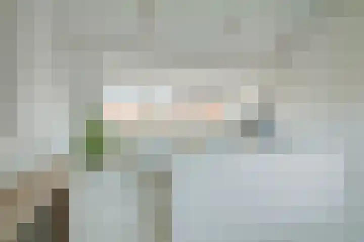 Fazantstraat 19 Breda thumbnail 58