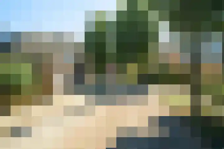 Fazantstraat 19 Breda thumbnail 66