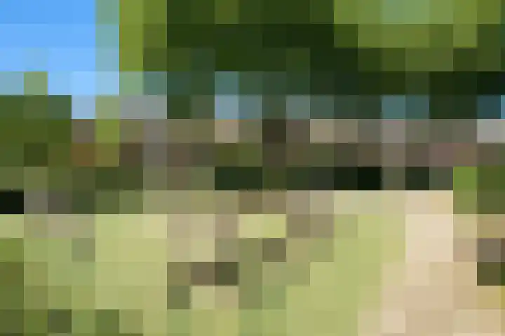 Fazantstraat 19 Breda thumbnail 67