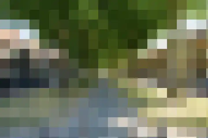 Fazantstraat 19 Breda thumbnail 68