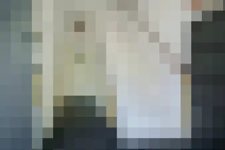 Fazantstraat 19 Breda thumbnail 9