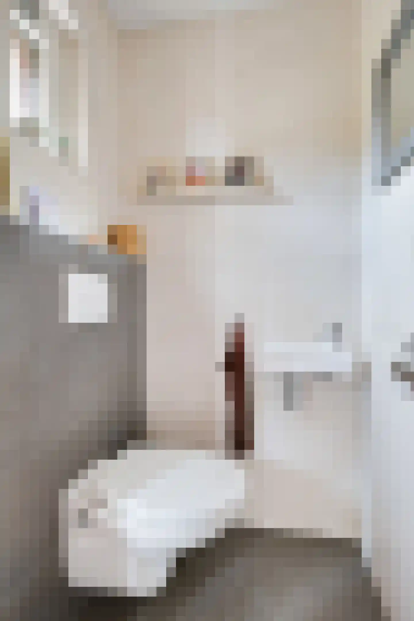 Fazantstraat 2 Lobith thumbnail 13