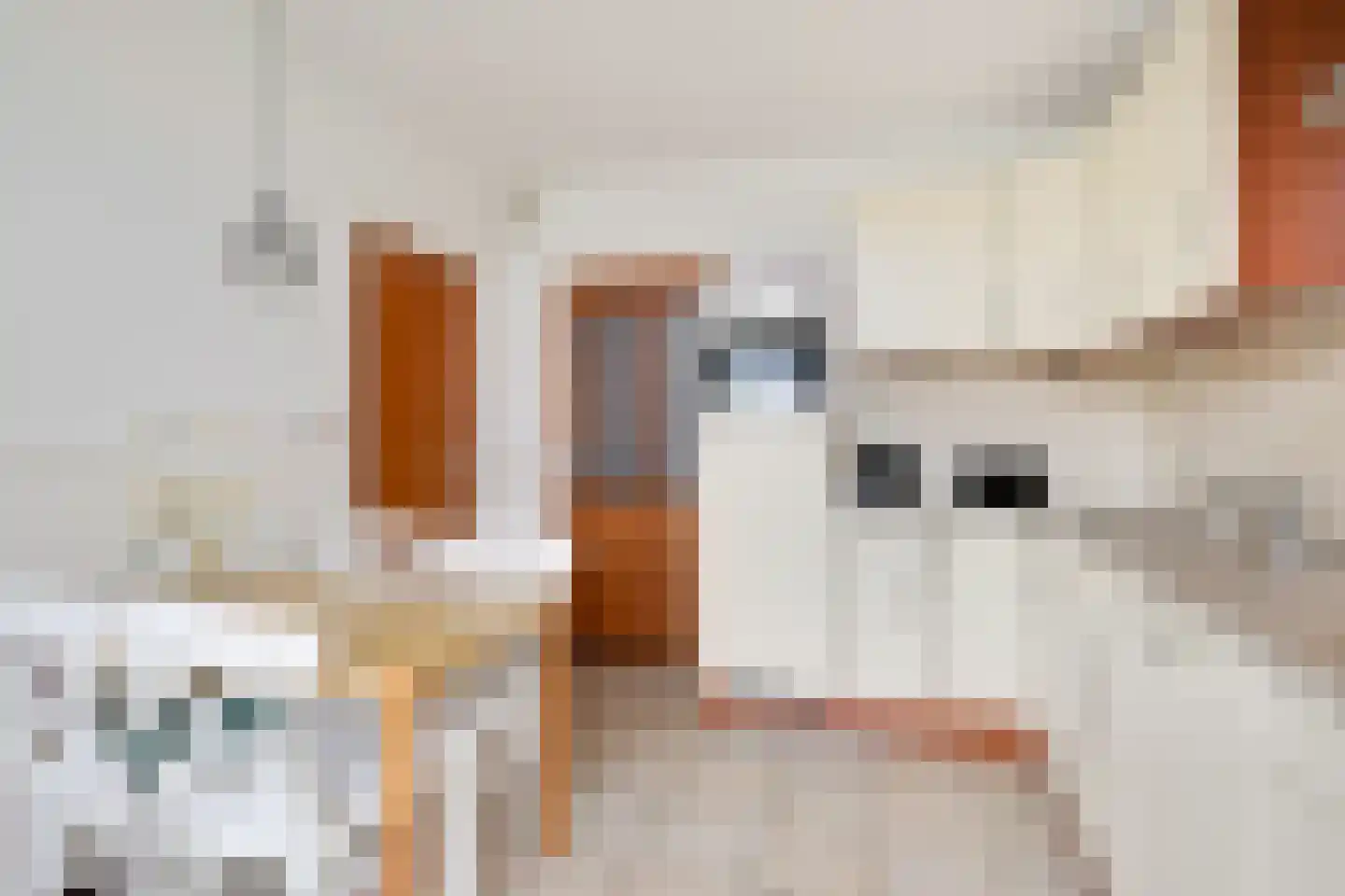 Fazantstraat 2 Lobith thumbnail 19