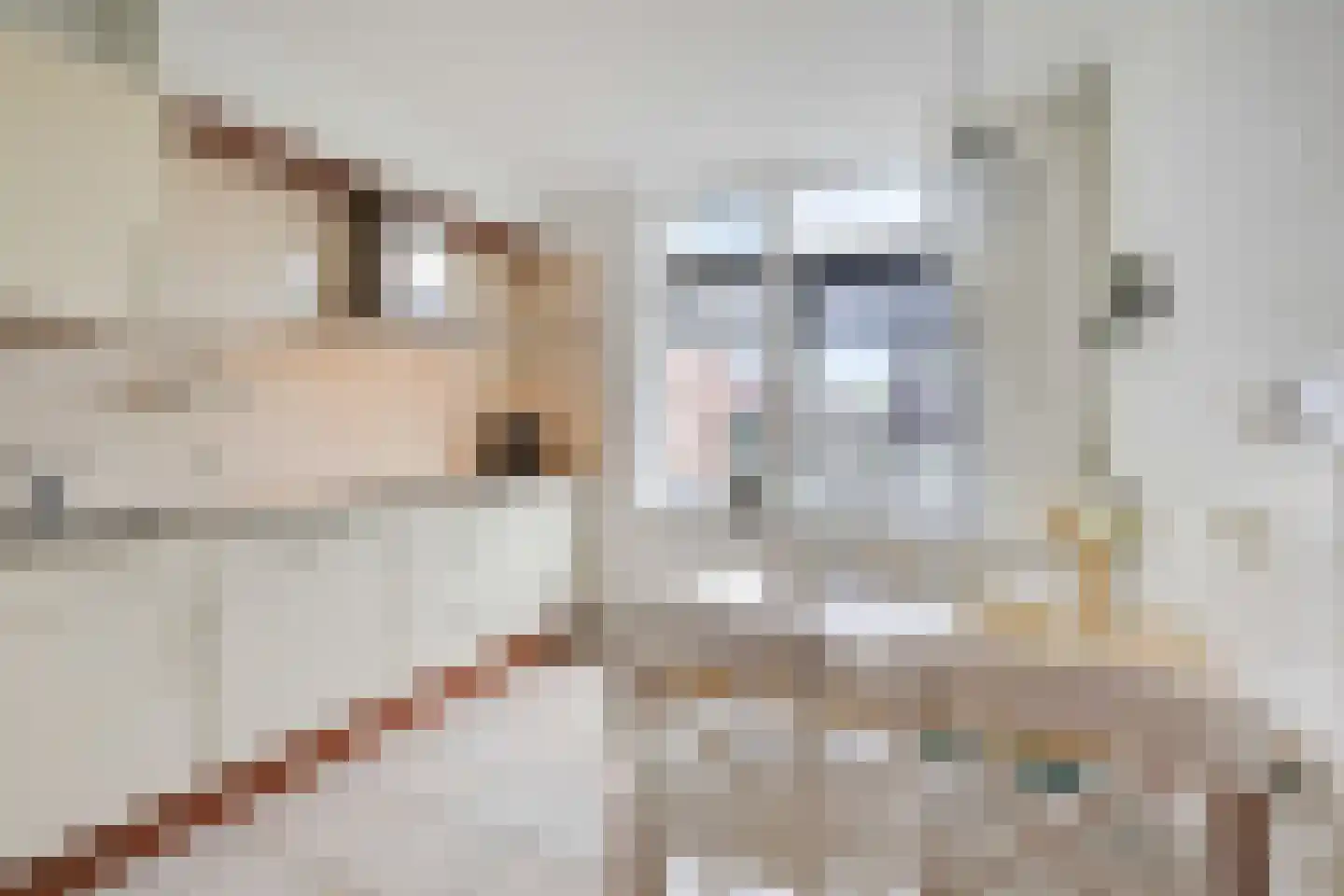 Fazantstraat 2 Lobith thumbnail 22