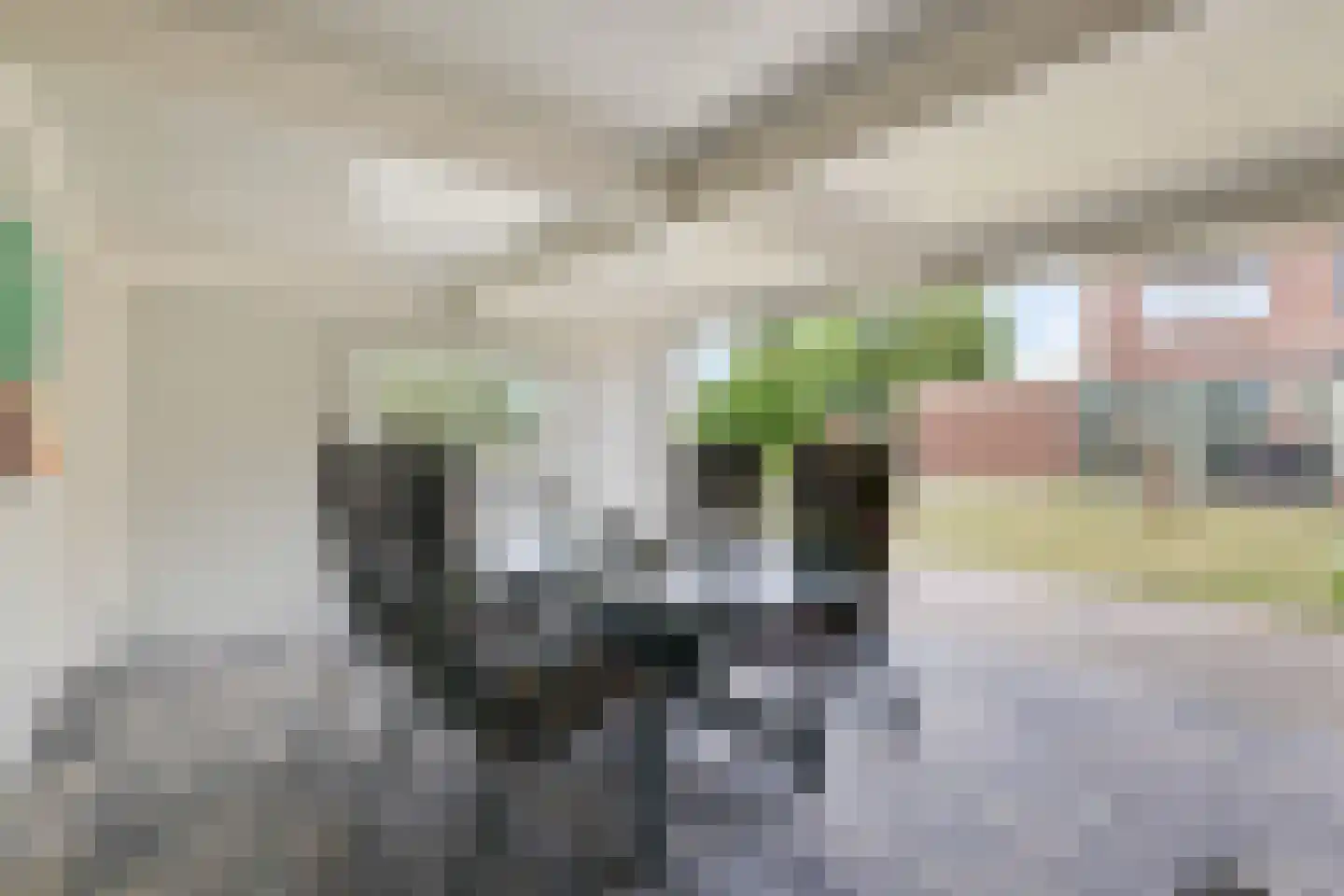 Fazantstraat 2 Lobith thumbnail 33