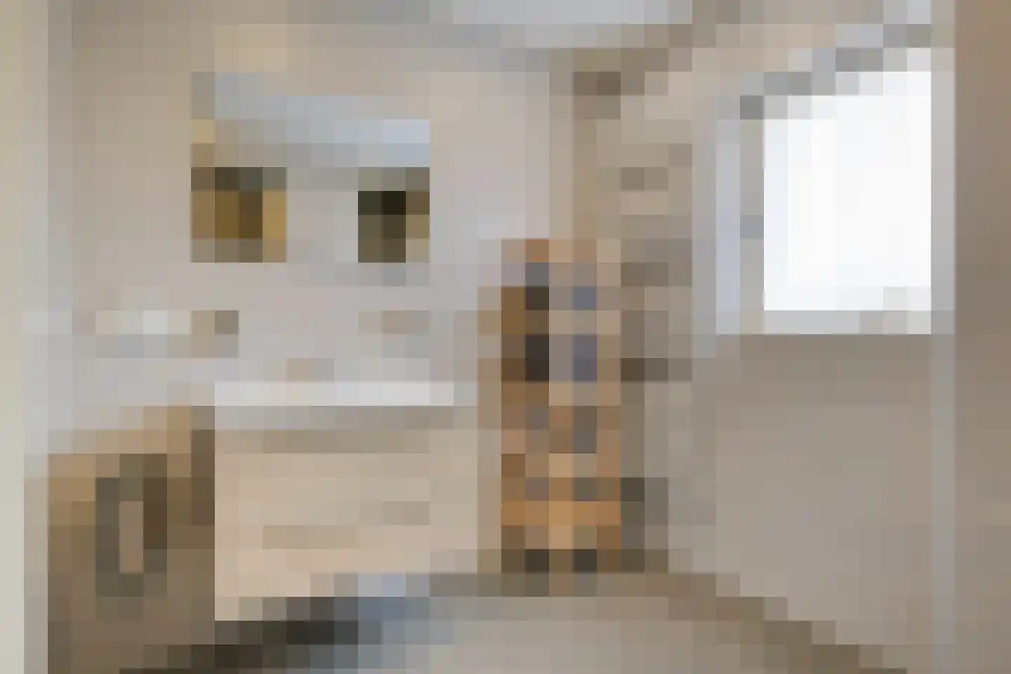 Fazantstraat 2 Lobith thumbnail 47