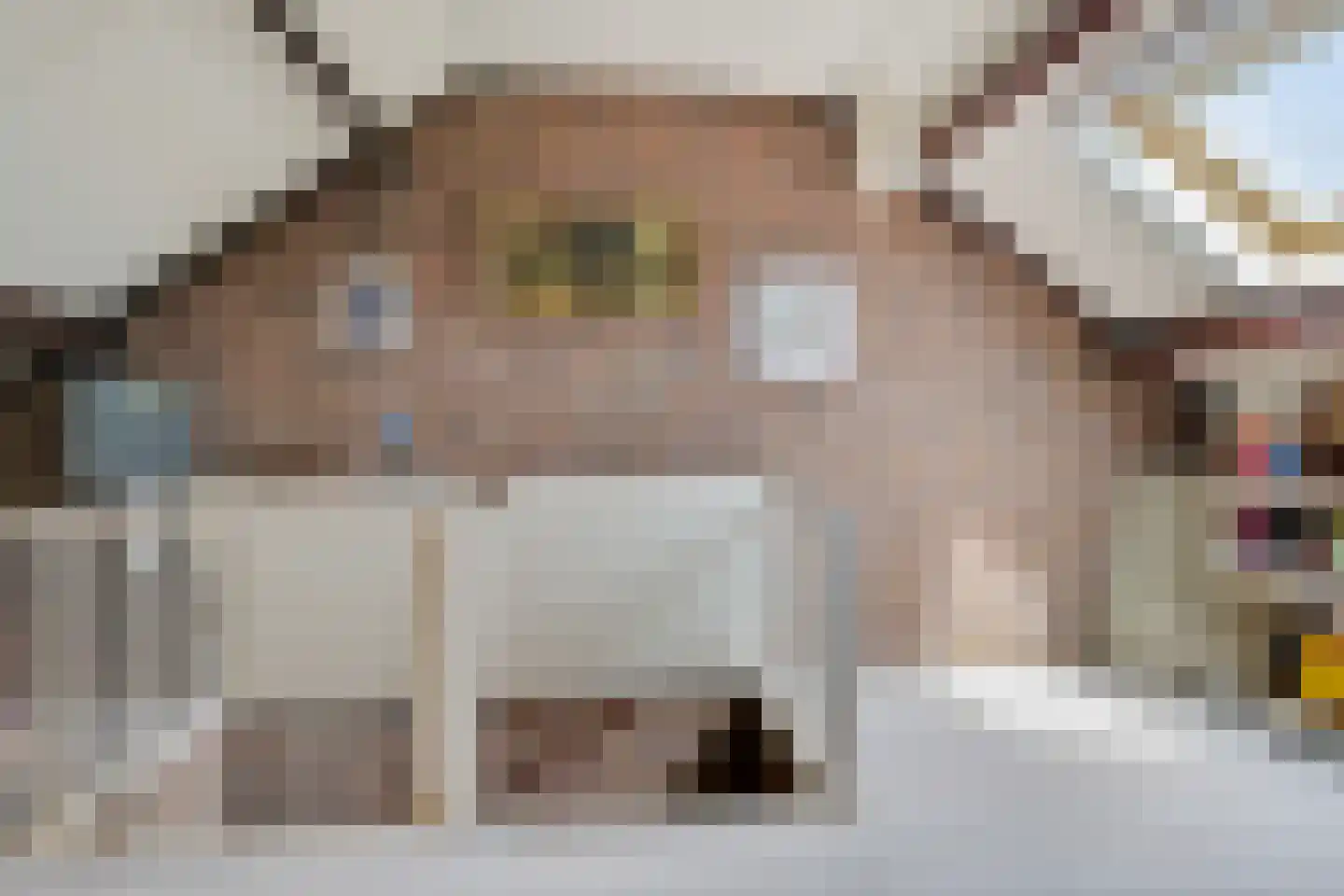 Fazantstraat 2 Lobith thumbnail 49