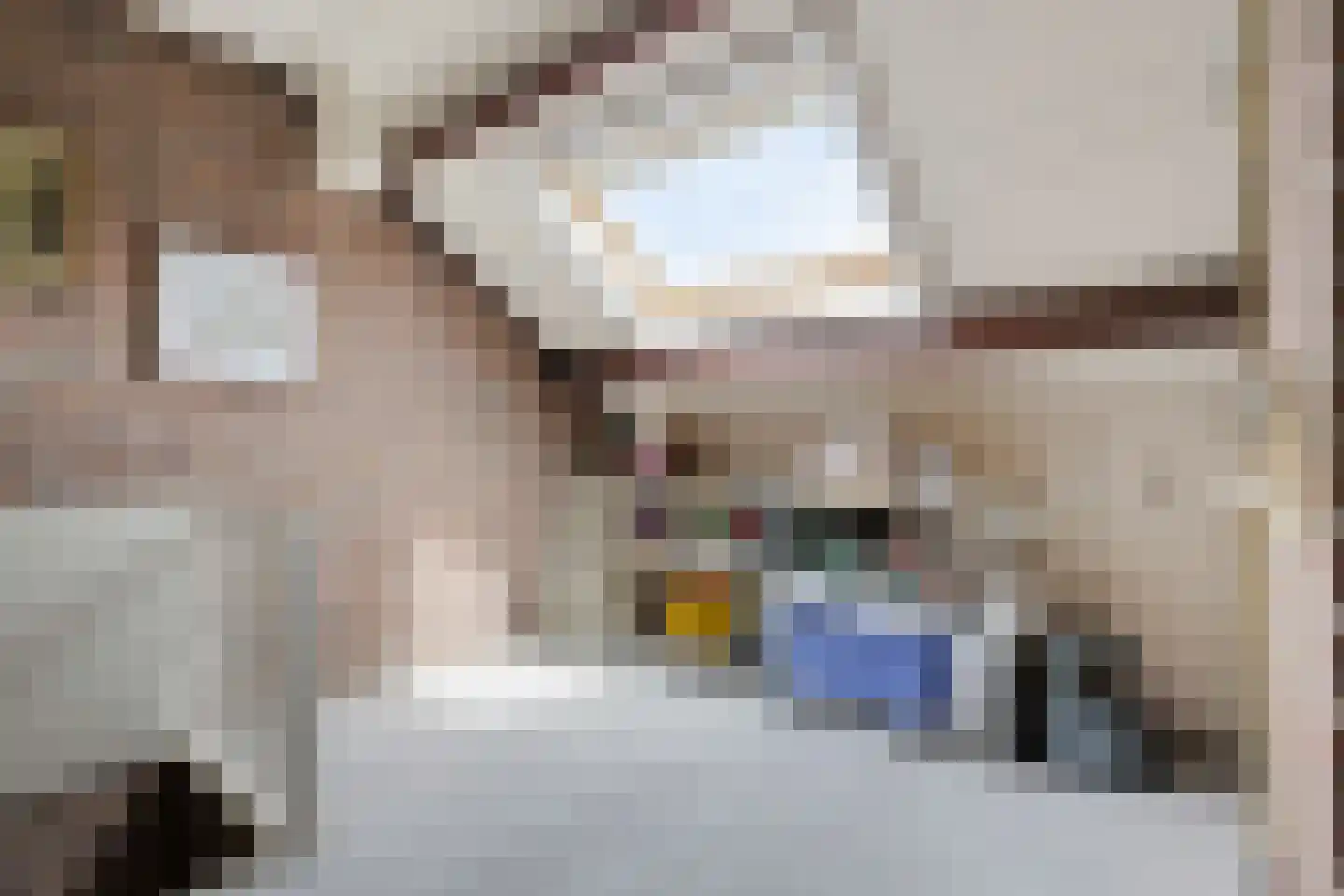 Fazantstraat 2 Lobith thumbnail 50