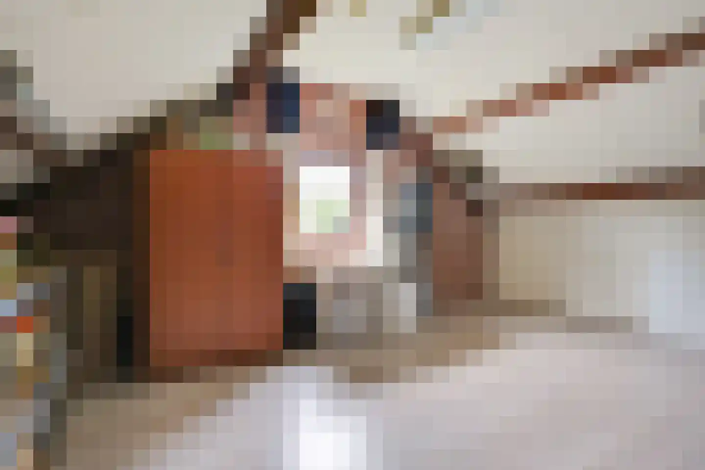 Fazantstraat 2 Lobith thumbnail 51