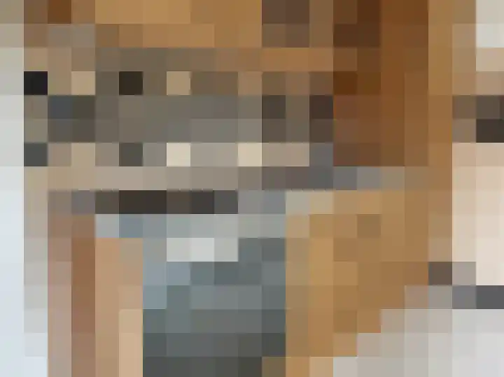Fazantstraat 2 Zundert thumbnail 14