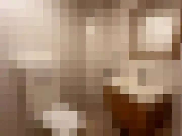 Fazantstraat 2 Zundert thumbnail 21