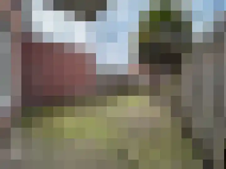Fazantstraat 2 Zundert thumbnail 22