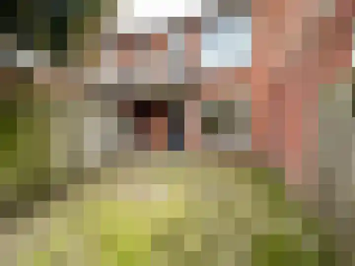 Fazantstraat 2 Zundert thumbnail 23
