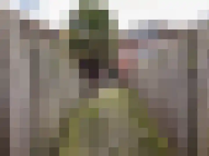 Fazantstraat 2 Zundert thumbnail 24