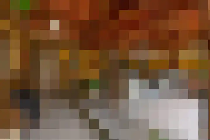 Fazantstraat 20 Zaltbommel thumbnail 11