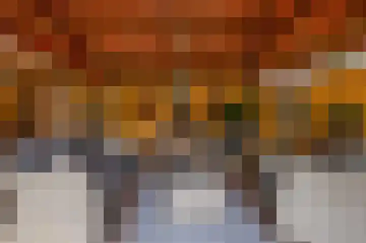 Fazantstraat 20 Zaltbommel thumbnail 12
