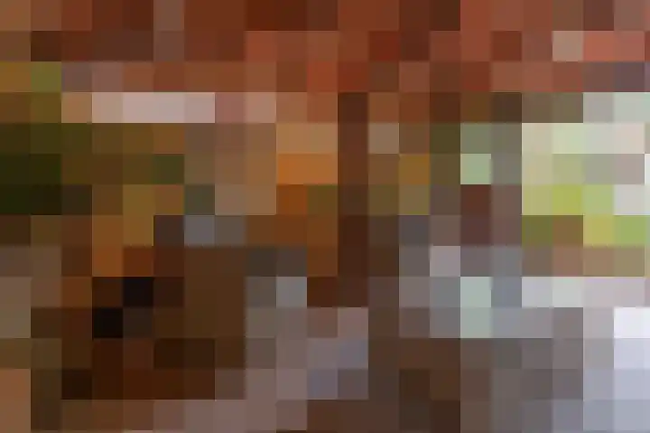 Fazantstraat 20 Zaltbommel thumbnail 13