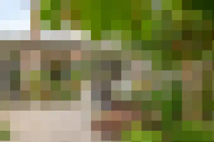 Fazantstraat 20 Zaltbommel thumbnail 14