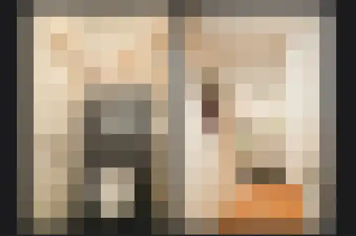 Fazantstraat 20 Zaltbommel thumbnail 17