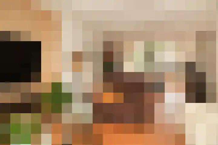 Fazantstraat 20 Zaltbommel thumbnail 20