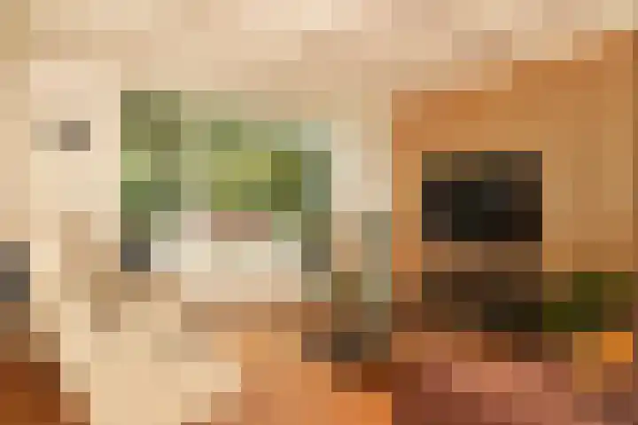 Fazantstraat 20 Zaltbommel thumbnail 30
