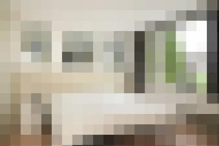 Fazantstraat 20 Zaltbommel thumbnail 32