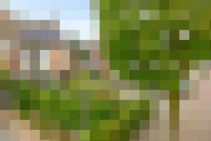 Fazantstraat 20 Zaltbommel thumbnail 4