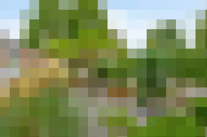 Fazantstraat 20 Zaltbommel thumbnail 5