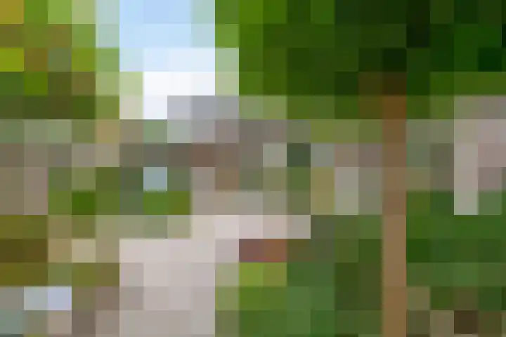 Fazantstraat 20 Zaltbommel thumbnail 9