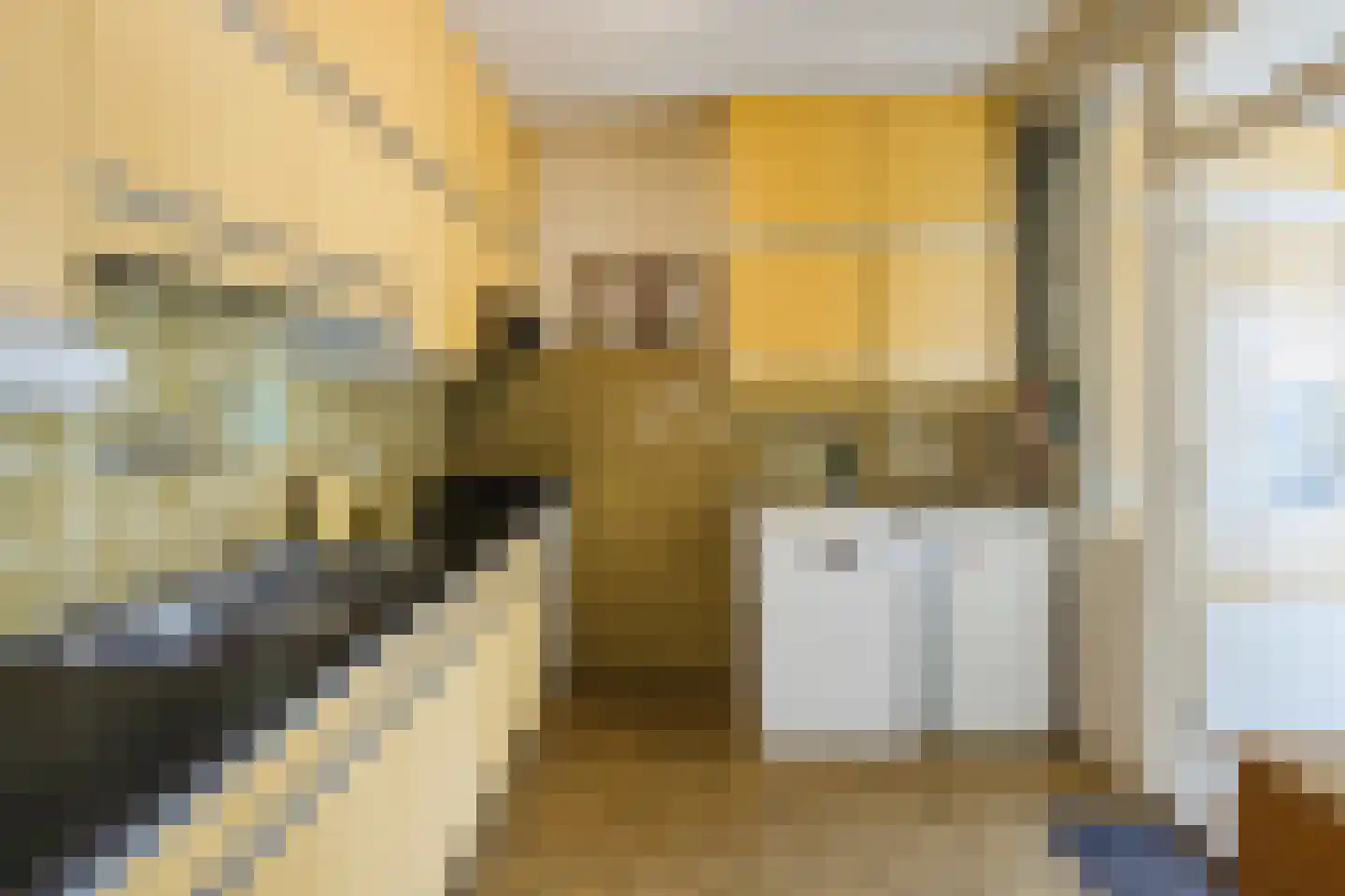 Fazantstraat 22 Delden thumbnail 22