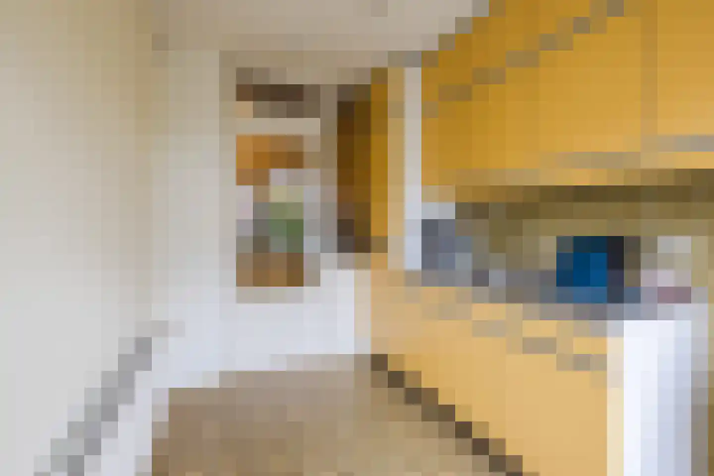 Fazantstraat 22 Delden thumbnail 24