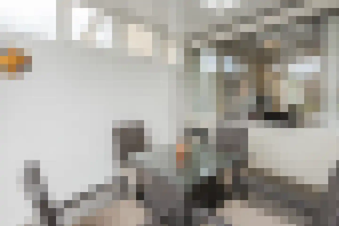 Fazantstraat 22 Delden thumbnail 27
