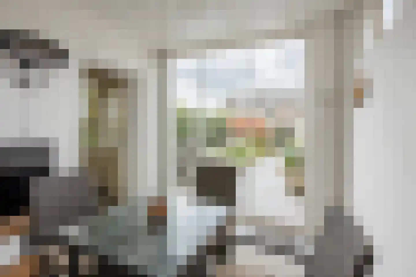 Fazantstraat 22 Delden thumbnail 28
