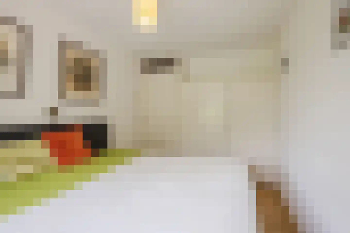 Fazantstraat 22 Delden thumbnail 33