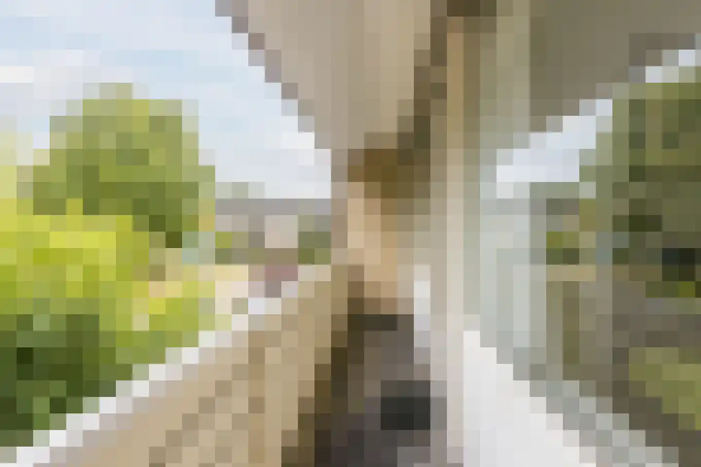 Fazantstraat 22 Delden thumbnail 40