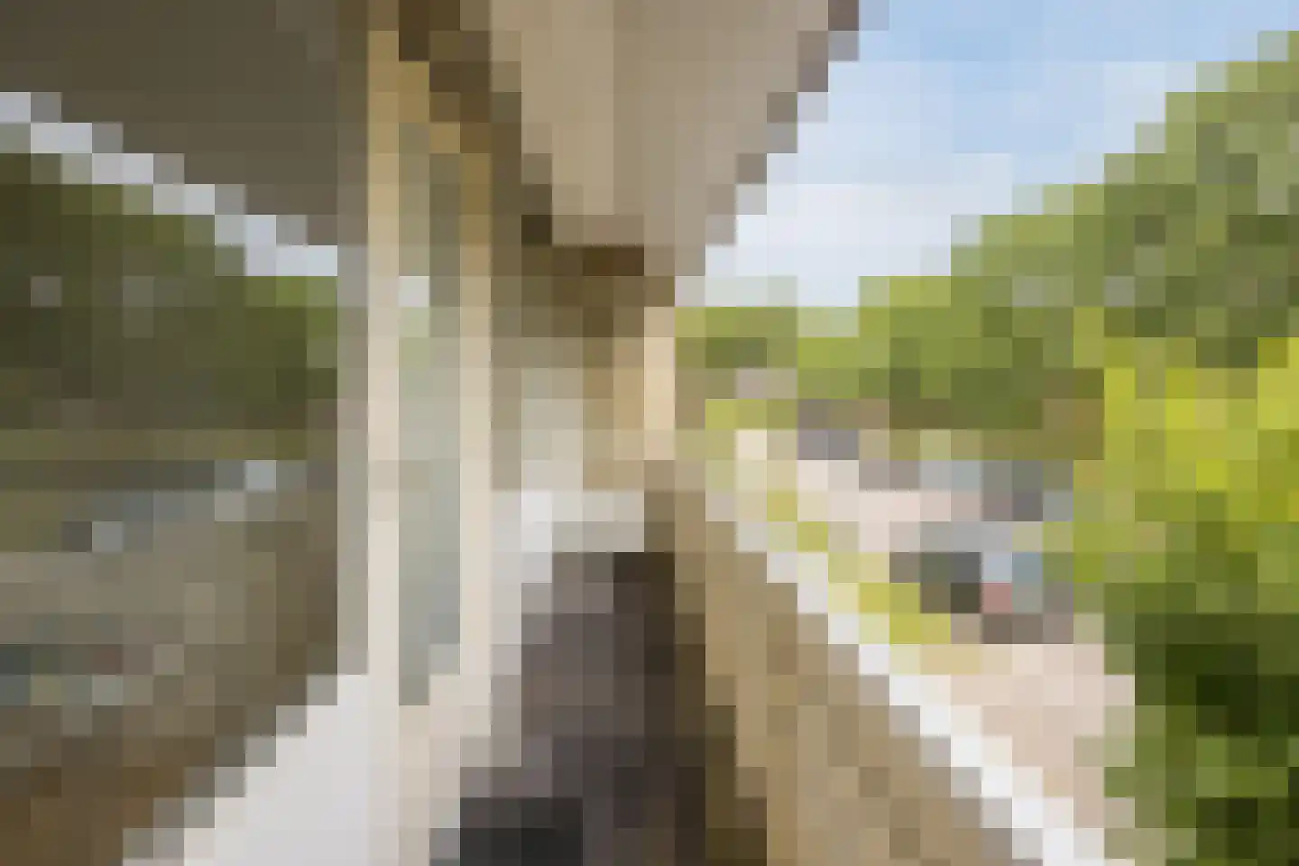 Fazantstraat 22 Delden thumbnail 41