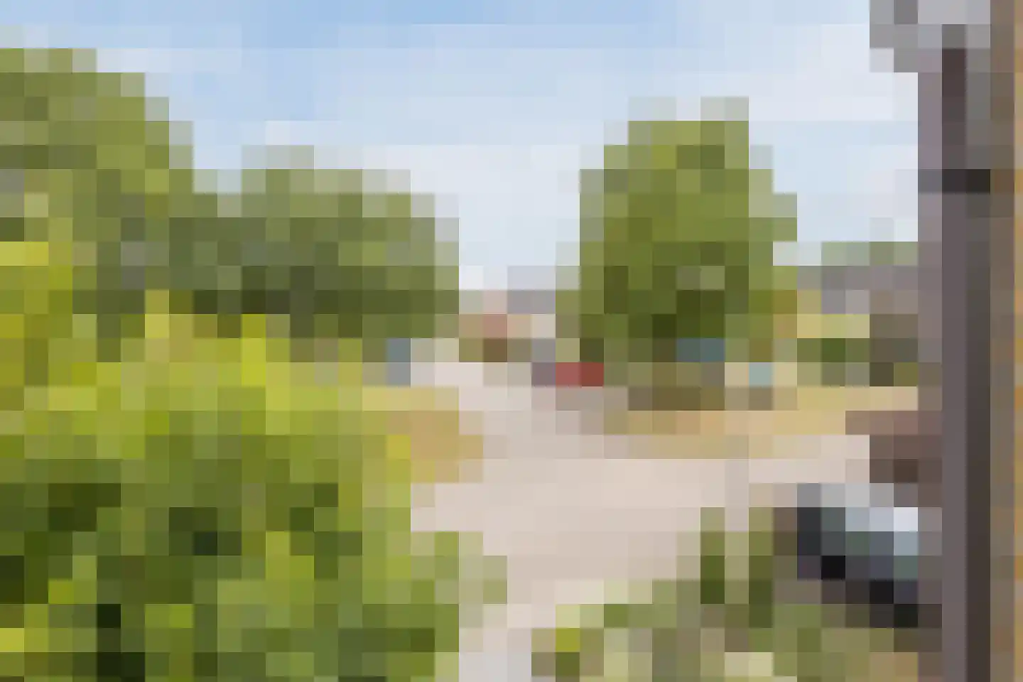 Fazantstraat 22 Delden thumbnail 42