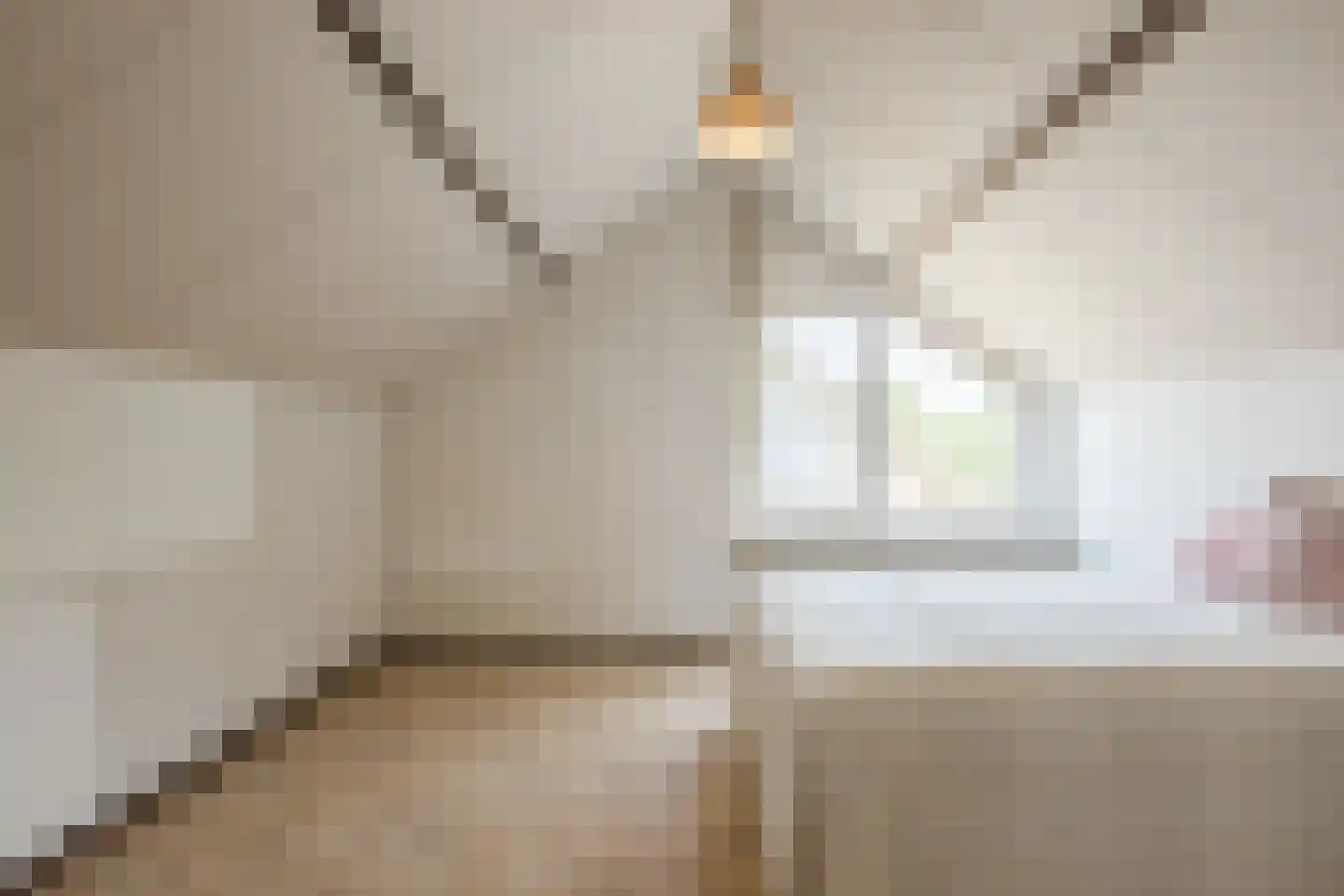 Fazantstraat 22 Delden thumbnail 48