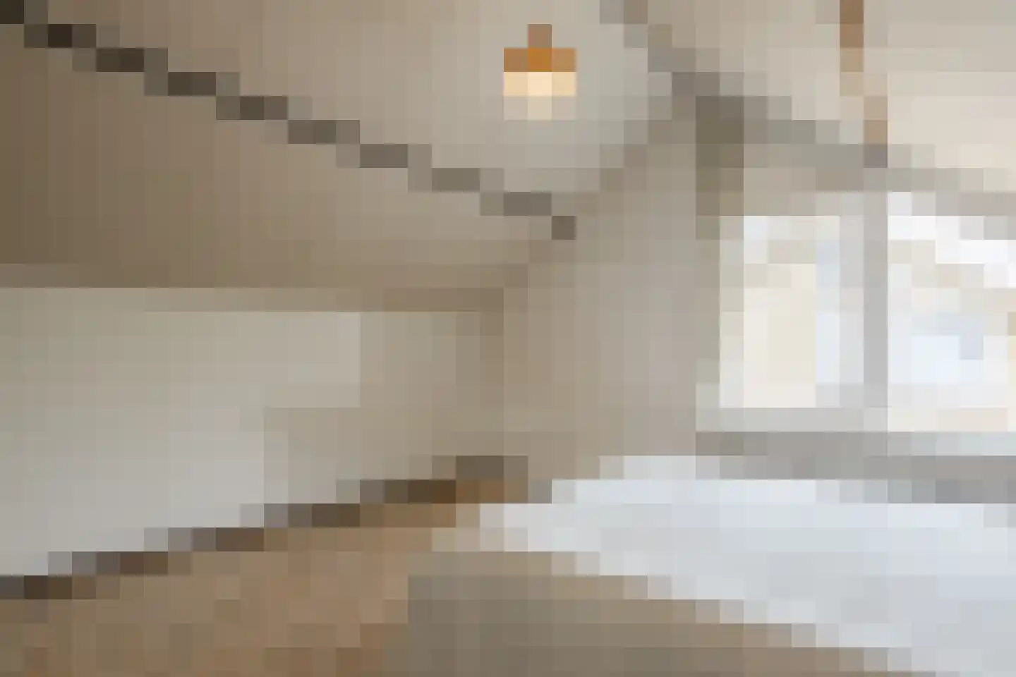 Fazantstraat 22 Delden thumbnail 49