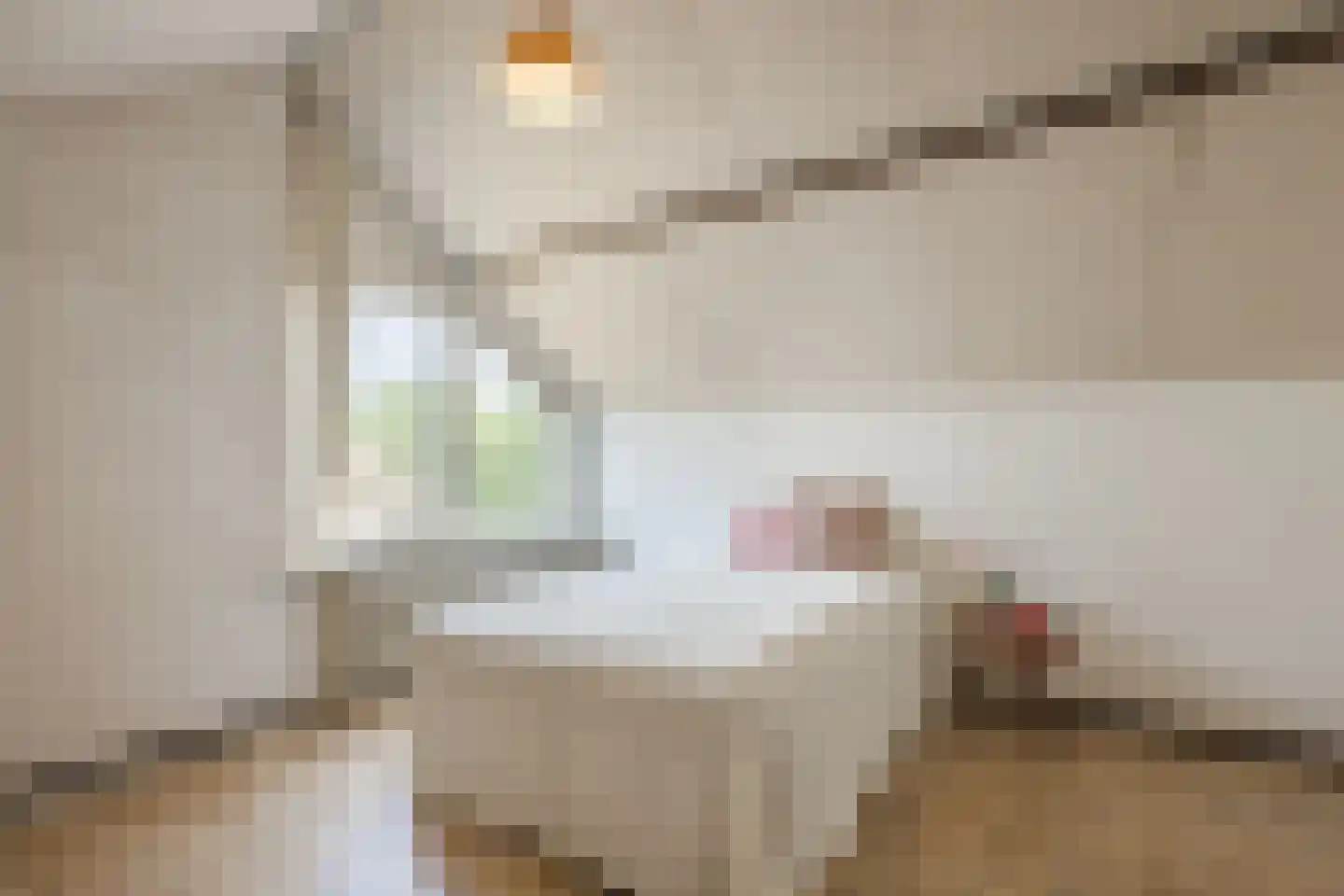 Fazantstraat 22 Delden thumbnail 50