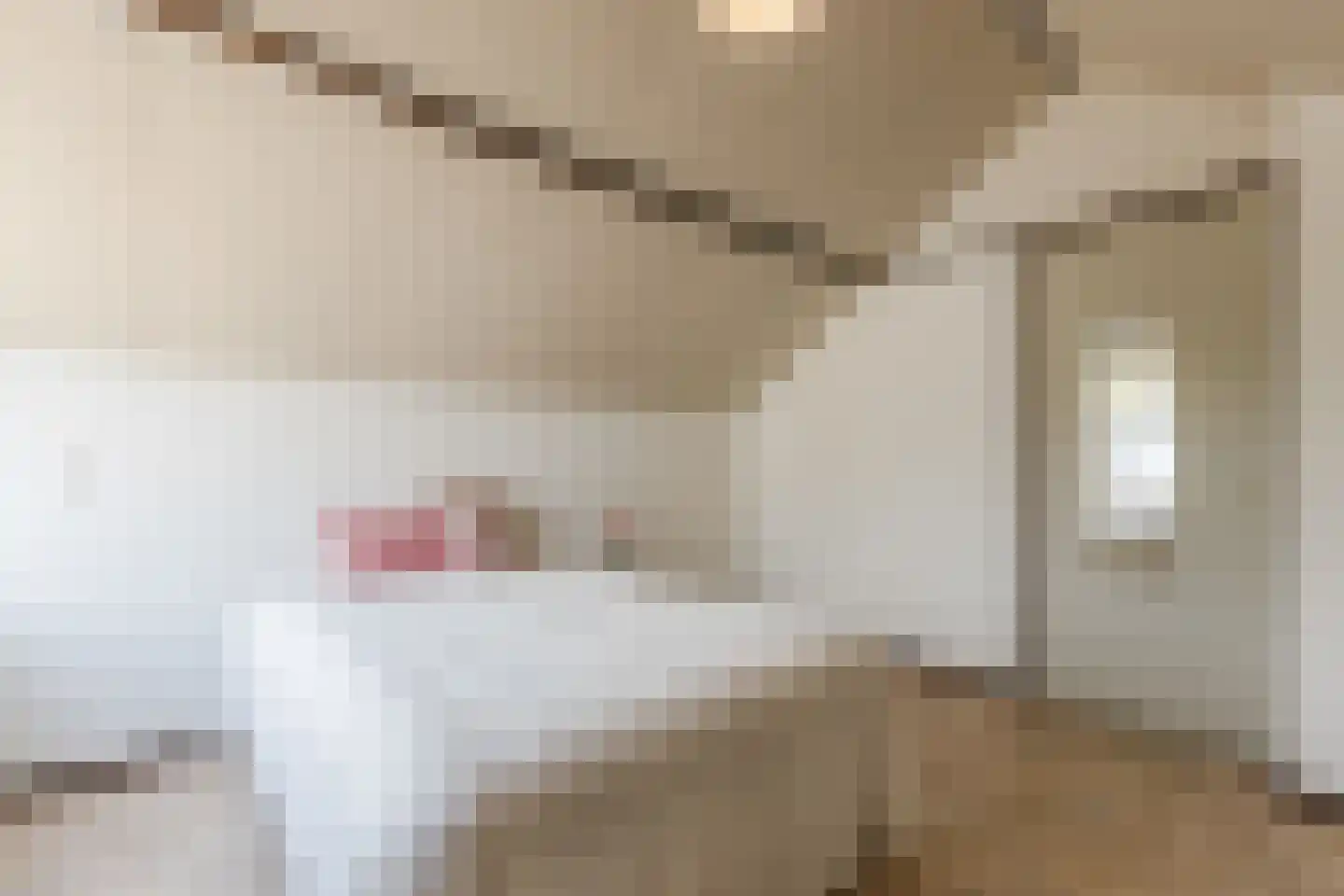 Fazantstraat 22 Delden thumbnail 51